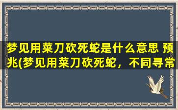 梦见用菜刀砍死蛇是什么意思 预兆(梦见用菜刀砍死蛇，不同寻常的潜意识暗示！)